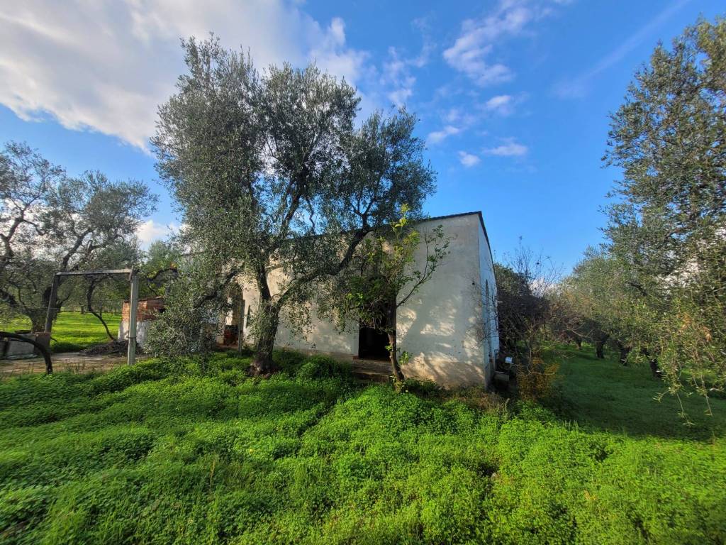 Rustico / casale a Vieste in Strada Vicinale di San Luca - Foto 4