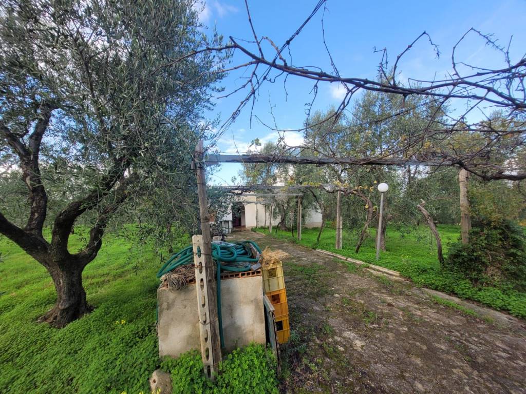 Rustico / casale a Vieste in Strada Vicinale di San Luca - Foto 5