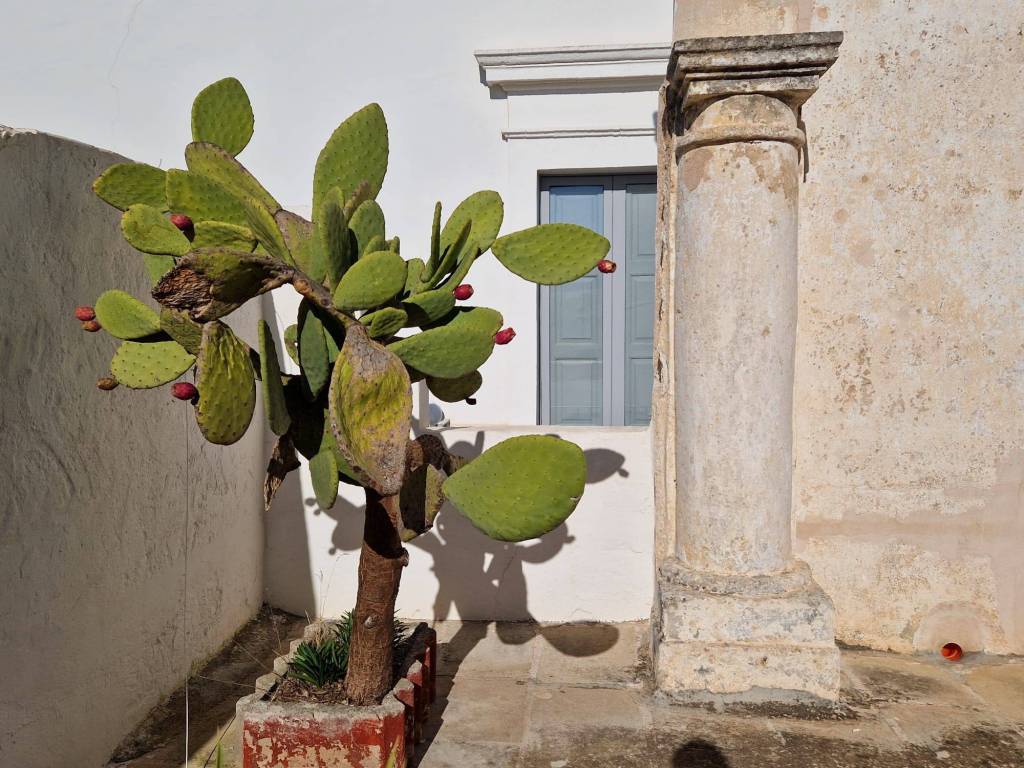 Casa indipendente a Parabita in Via Umberto Biancamano, 12 - Foto 3