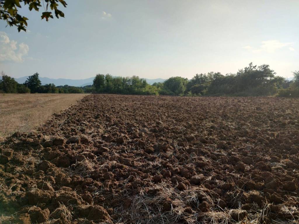 Rustico / casale a Castrocielo in Via Boccaforno - Foto 2