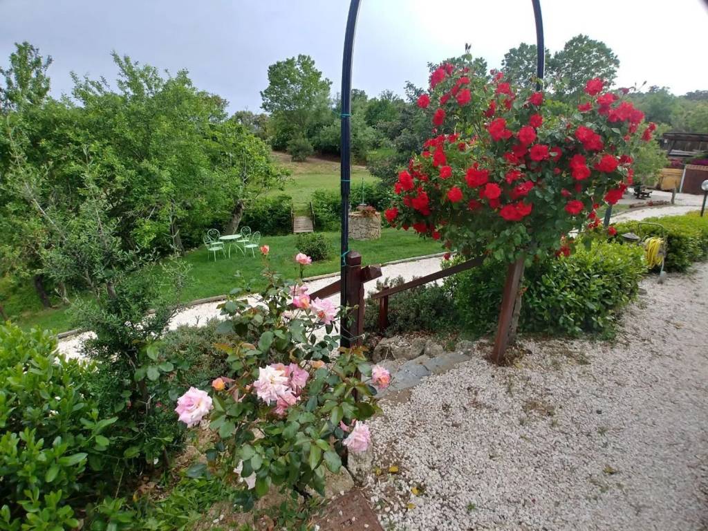 Rustico / casale a Mamoiada - Foto 5