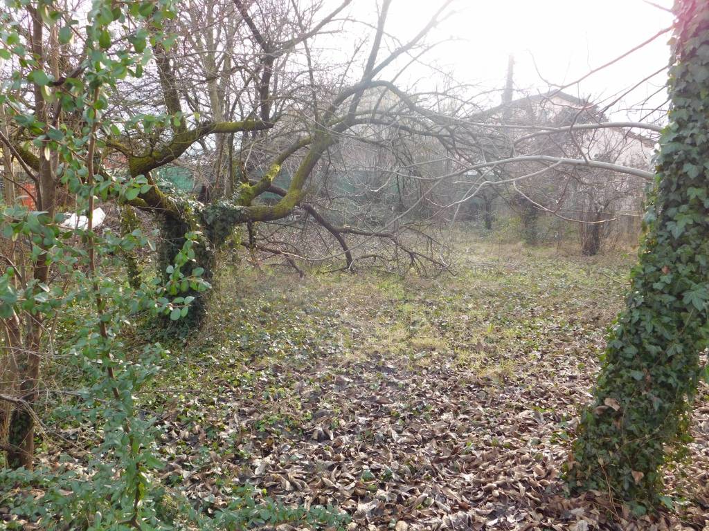 Terreno a Nanto in Via Palladio - Foto 2
