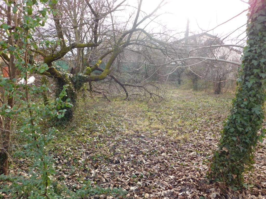 Terreno a Nanto in Via Palladio - Foto 3