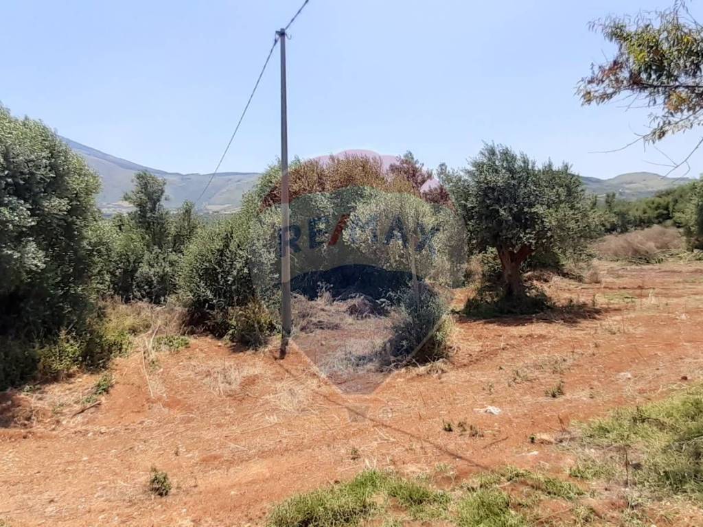 Terreno a Castellammare del golfo in contrada grotticelli - Foto 2