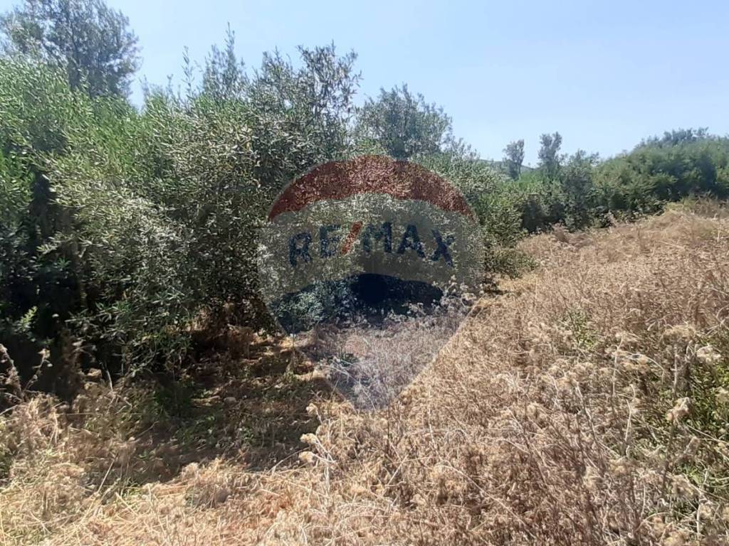 Terreno a Castellammare del golfo in contrada grotticelli - Foto 4