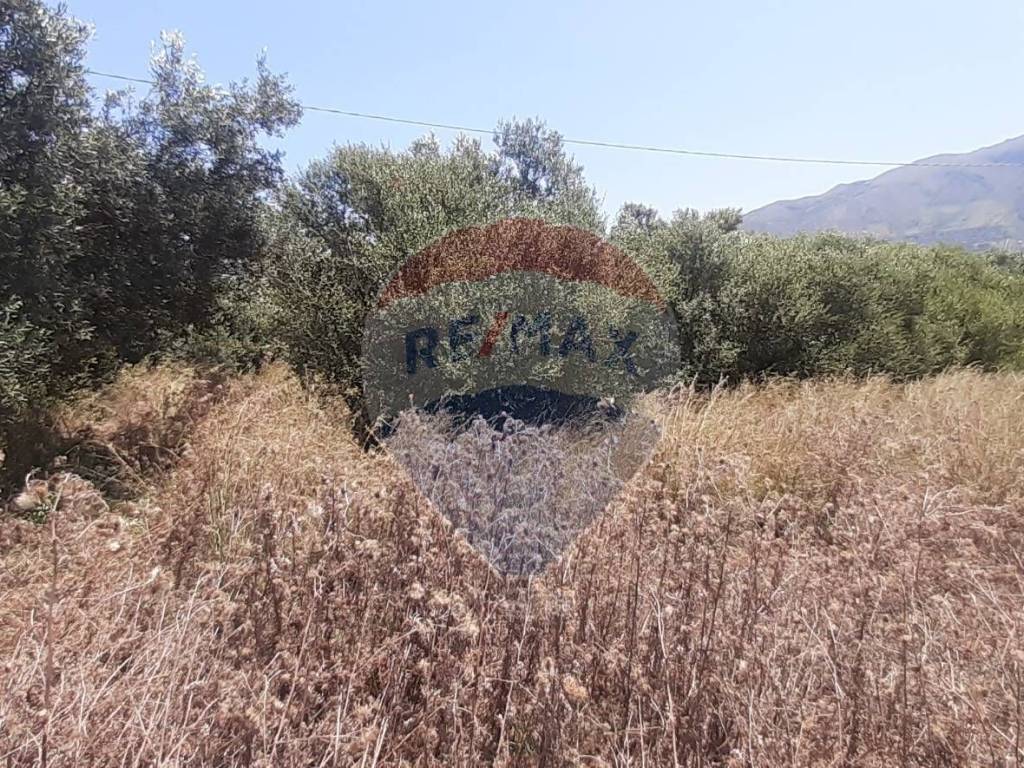 Terreno a Castellammare del golfo in contrada grotticelli - Foto 5