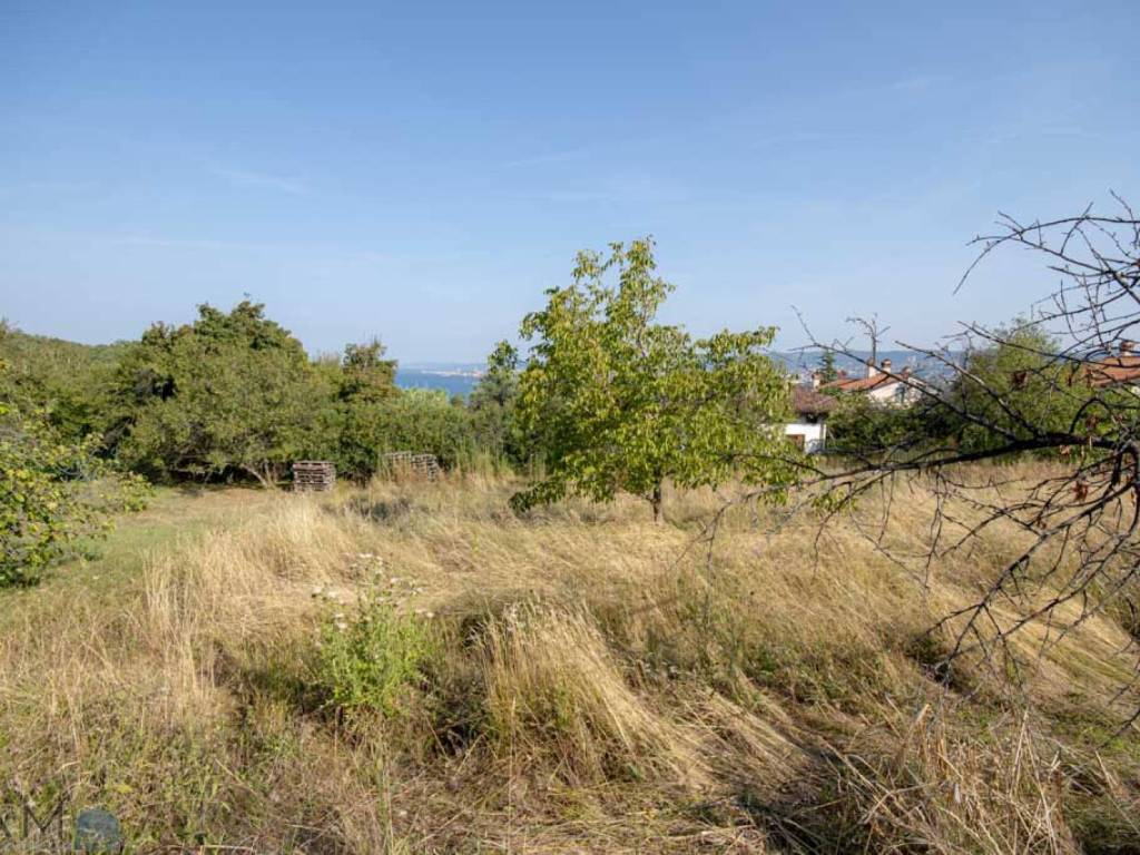 Terreno a Muggia in VIA DELLA STAZIONE, 17 - Foto 5