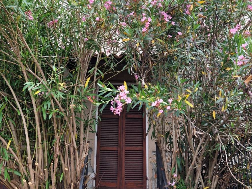 Rustico / casale a Grazzano badoglio in Via Roma, 19 - Foto 4