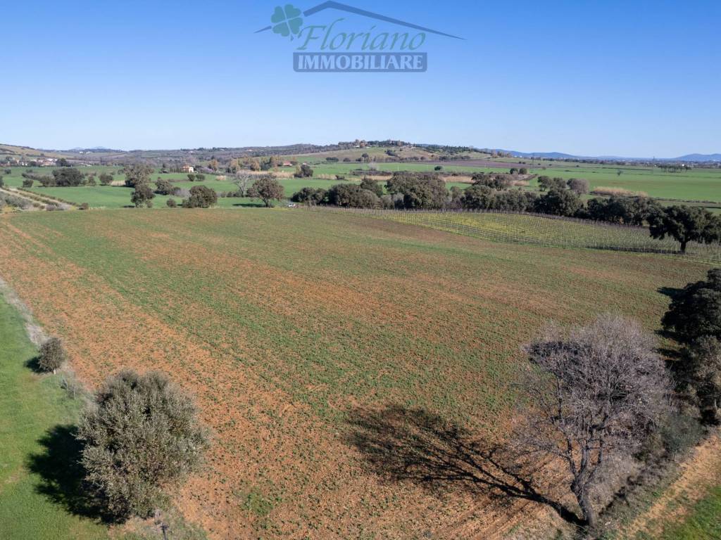 Terreno a Capalbio in Strada Casal del Brizzi - Foto 2