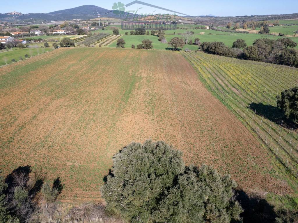 Terreno a Capalbio in Strada Casal del Brizzi - Foto 3