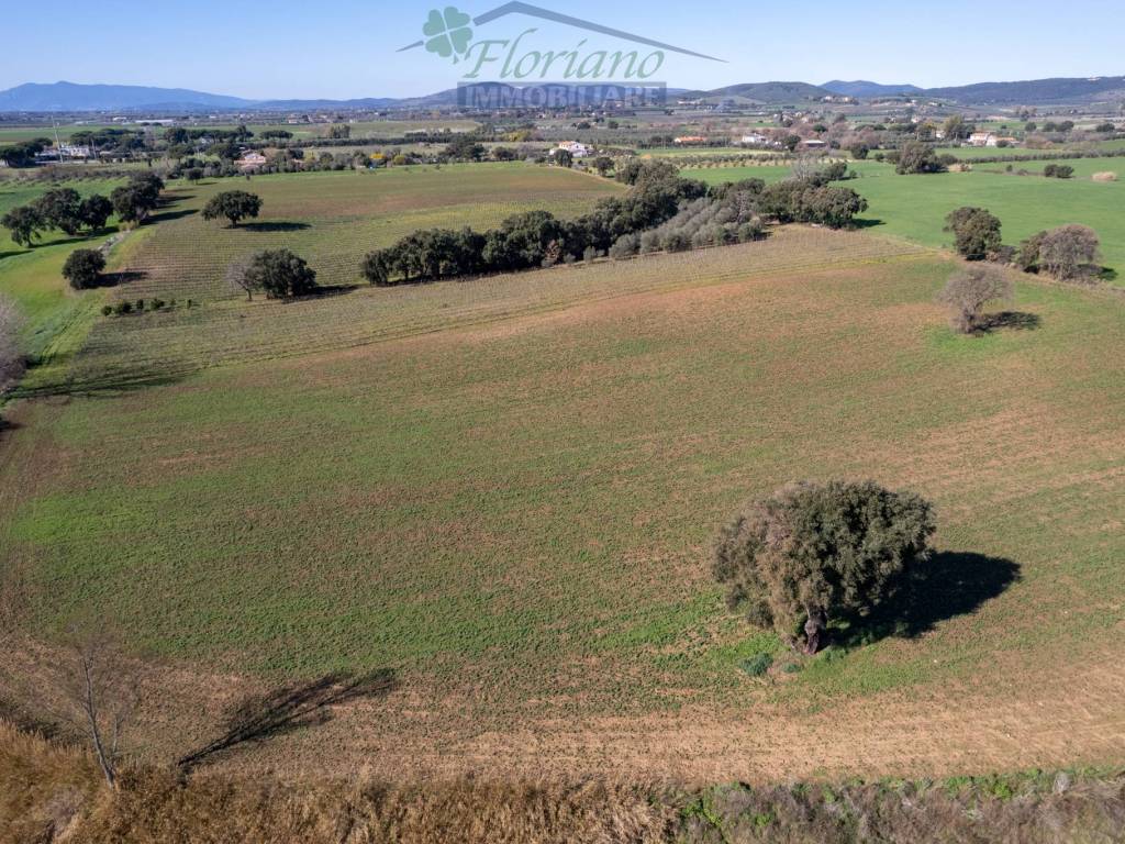 Terreno a Capalbio in Strada Casal del Brizzi - Foto 5