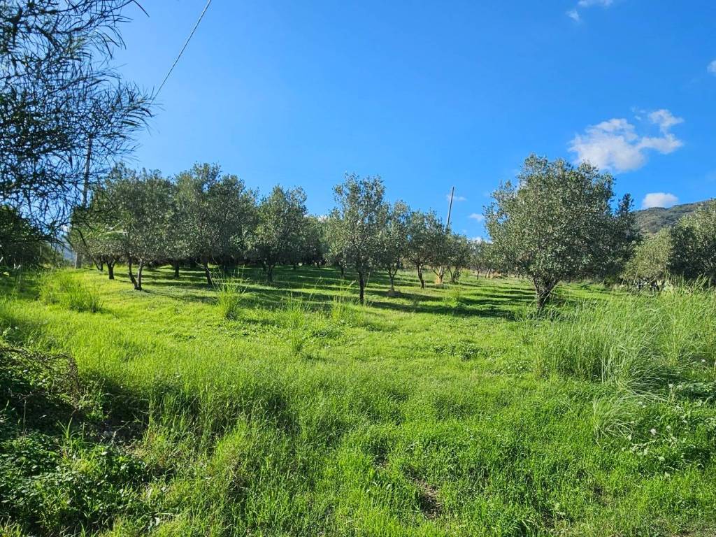 Terreno a Montepaone - Foto 3