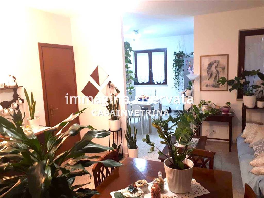 Villetta a schiera a Grosseto in VIA DELL'AIRONE , - Foto 3