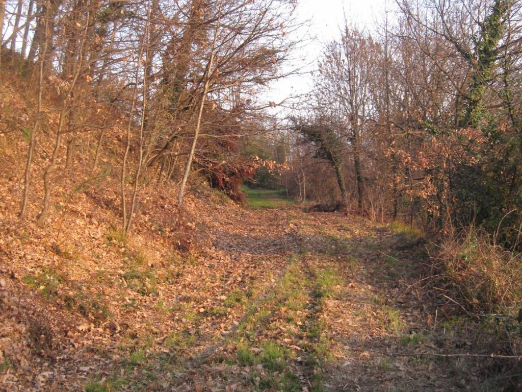 Terreno a Romagnano sesia - Foto 2
