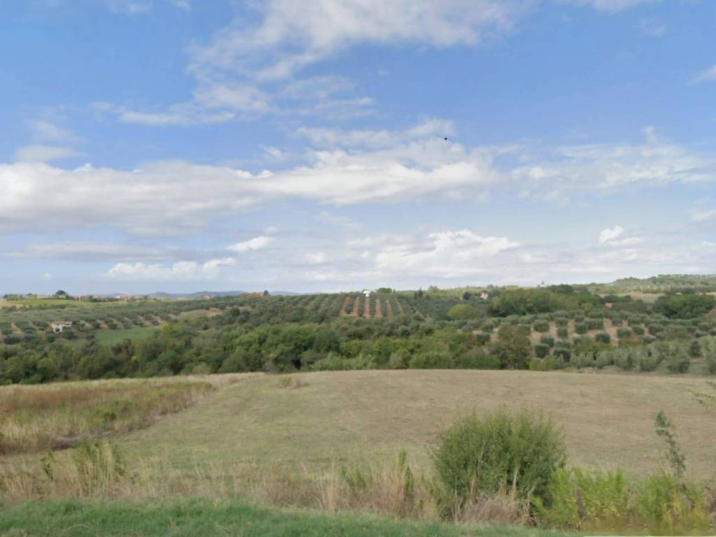 Terreno a Magliano in toscana in Via della Costituzione - Foto 2