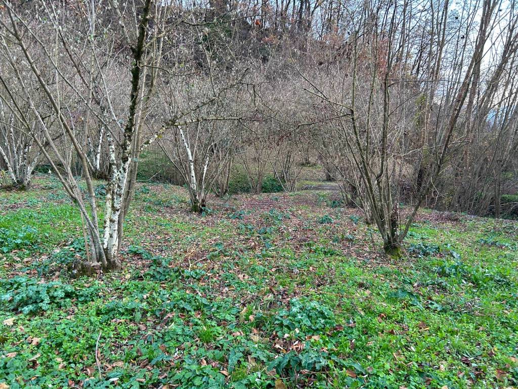 Terreno a Grottolella in Via della Dogana, 2 - Foto 3