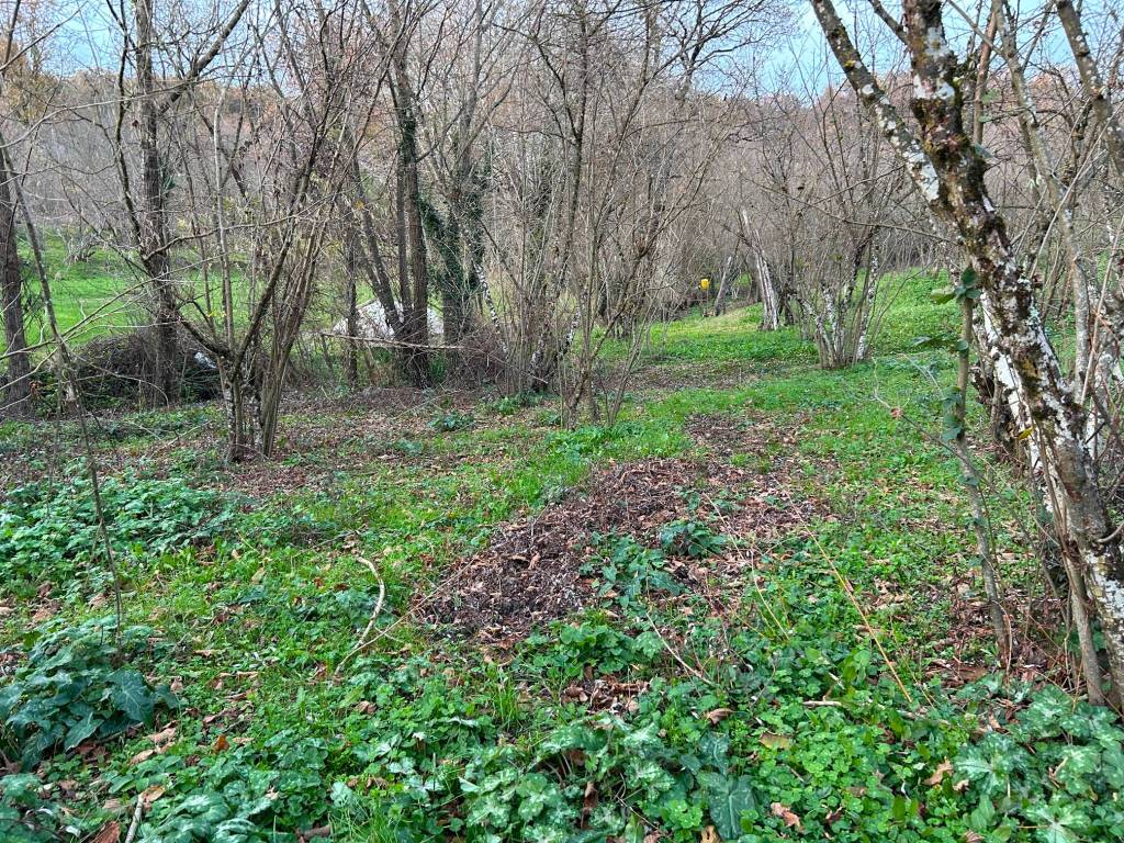 Terreno a Grottolella in Via della Dogana, 2 - Foto 5