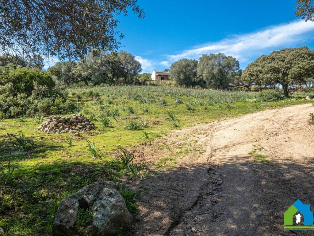 Rustico / casale a Arzachena in Strada Provinciale per Luogosanto - Foto 3
