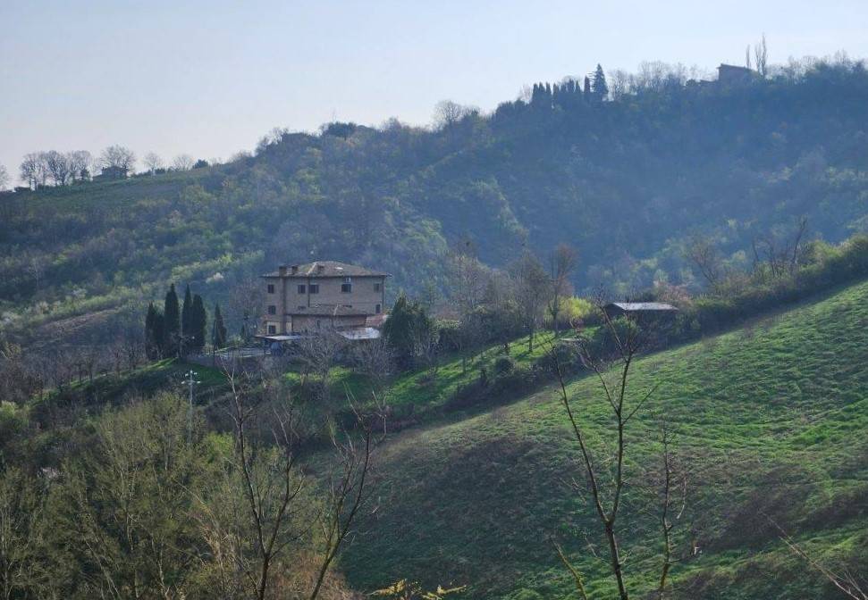 Rustico / casale a Castelvetro di modena - Foto 2