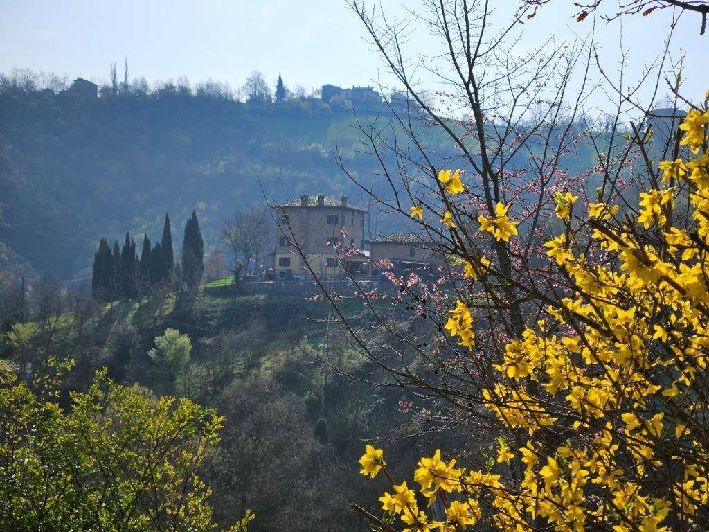 Rustico / casale a Castelvetro di modena - Foto 3