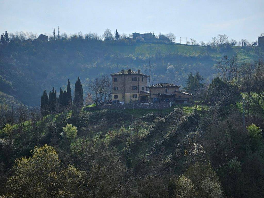 Rustico / casale a Castelvetro di modena - Foto 4
