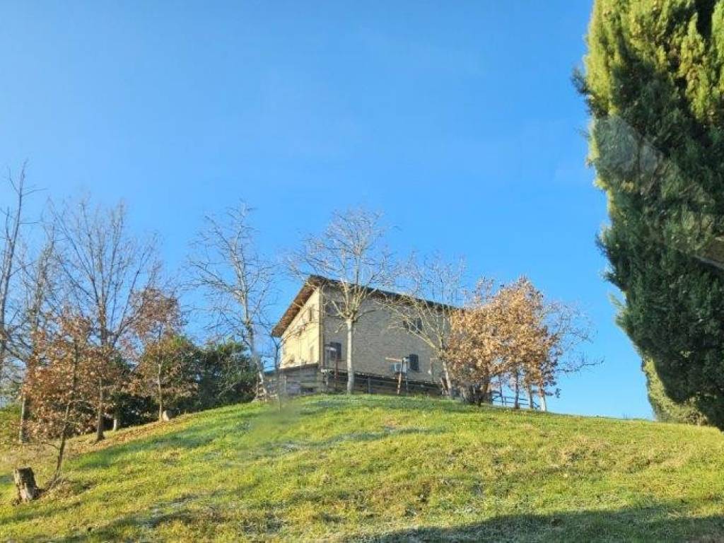 Rustico / casale a Castelvetro di modena - Foto 5