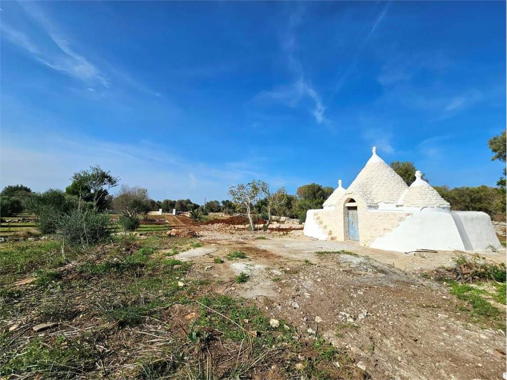 Rustico / casale a Carovigno in CONTRADA ARRIGHI - Foto 4