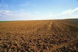 Terreno a Tarquinia in Strada Statale 1bis Via Aurelia - Foto 2