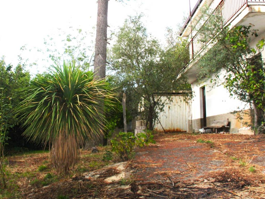 Appartamento a Rombiolo - Foto 4