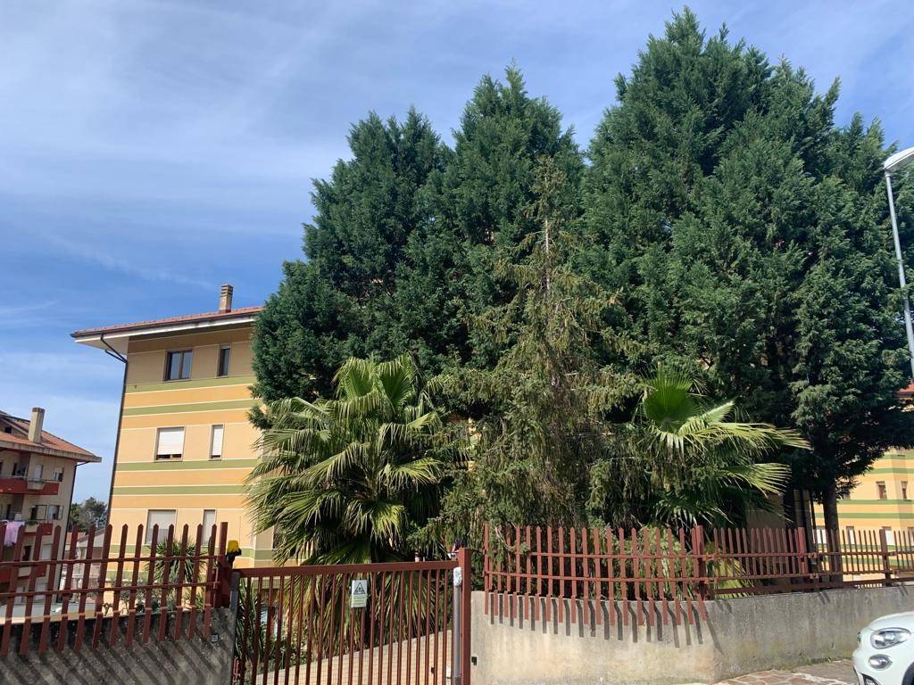 Appartamento a Vibo valentia in Traversa Viale Alcide De Gasperi - Foto 4