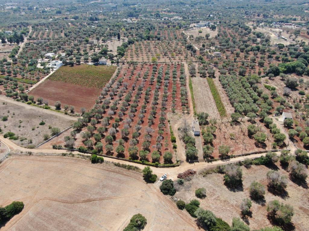 Rustico / casale a Carovigno in SS16 - Foto 3