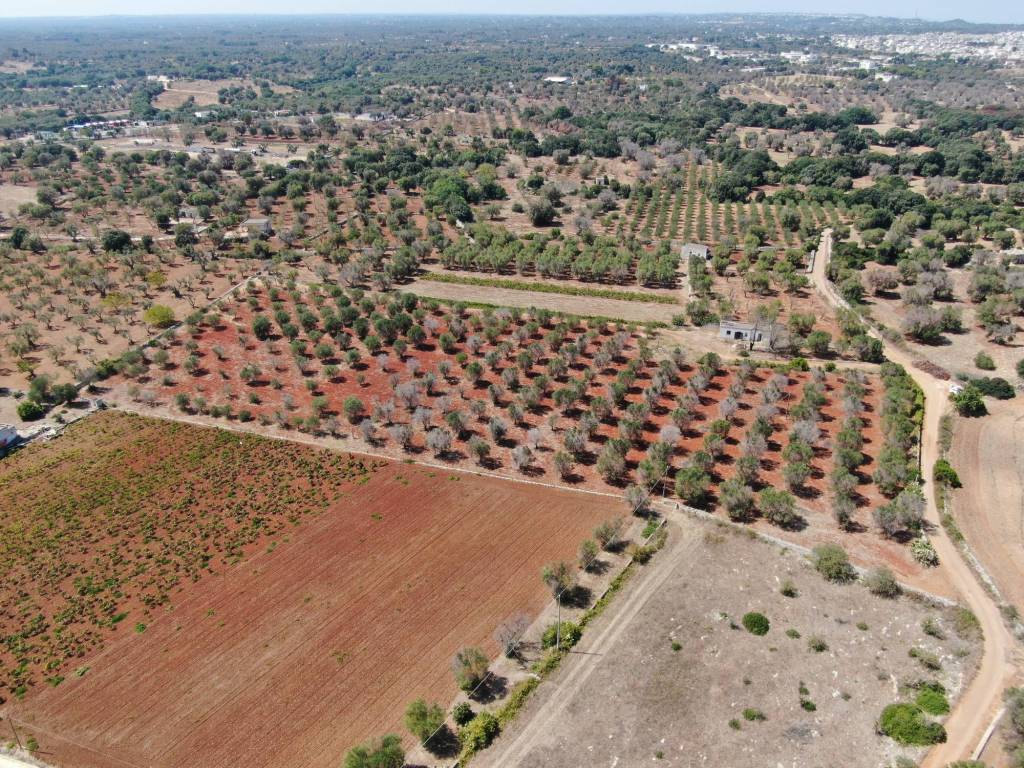 Rustico / casale a Carovigno in SS16 - Foto 4
