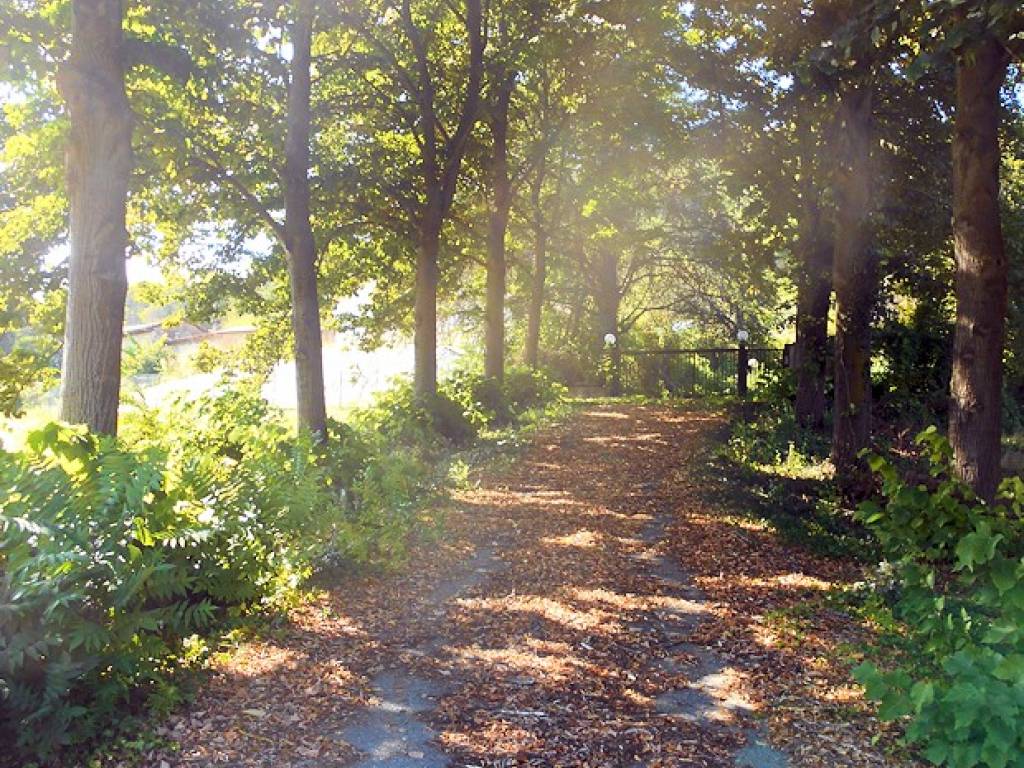 Villa a Villamiroglio - Foto 2