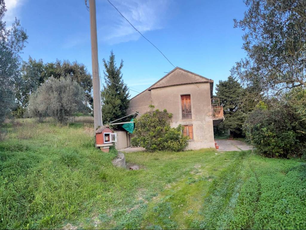 Rustico / casale a Altavilla silentina in Contrada Scalareta, 40 - Foto 3