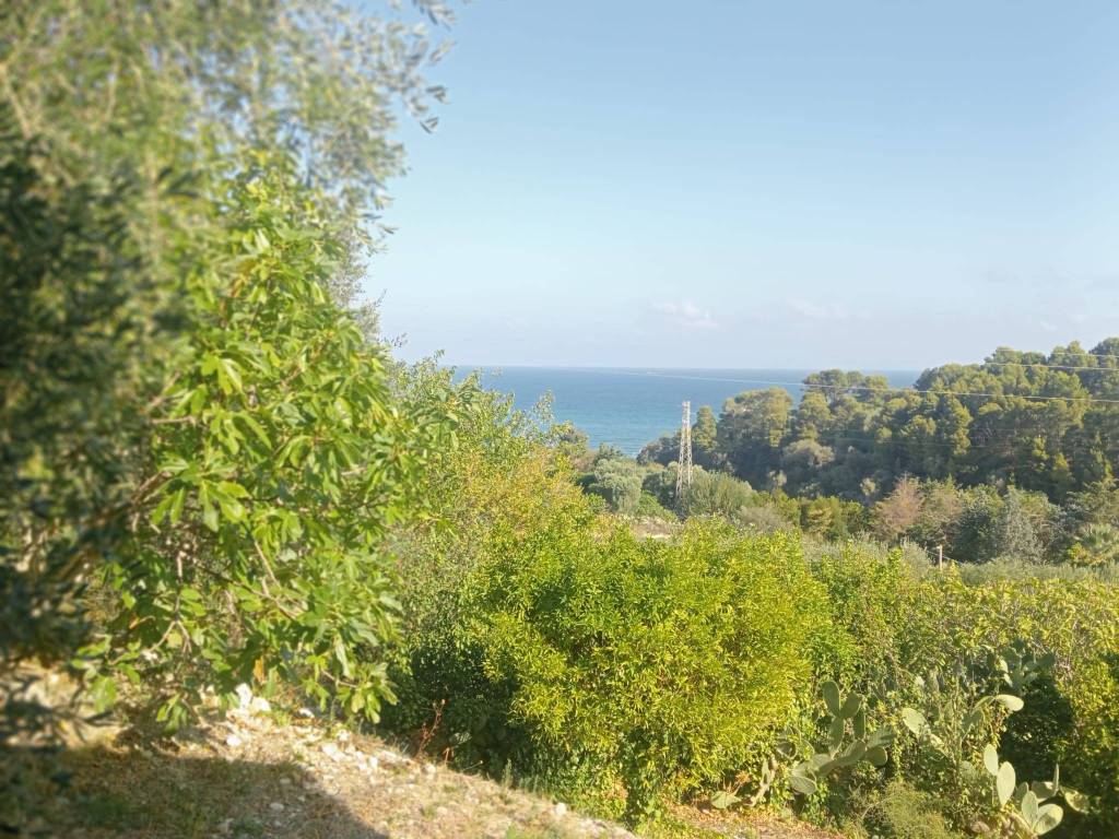 Rustico / casale a Vico del gargano in Via San Menna - Foto 3