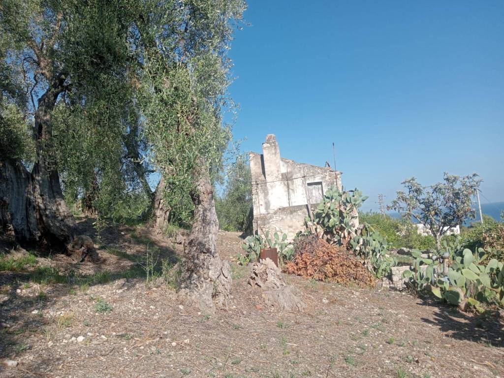 Rustico / casale a Vico del gargano in Via San Menna - Foto 5