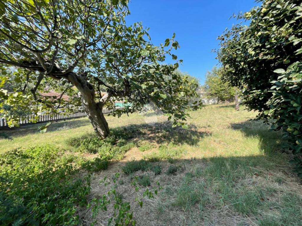 Terreno a Pescara in Via Tatonetti - Foto 4