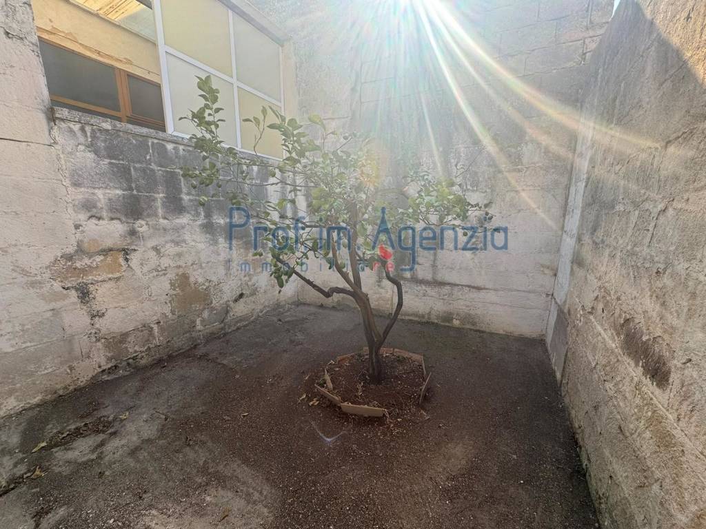 Casa indipendente a Carovigno - Foto 4