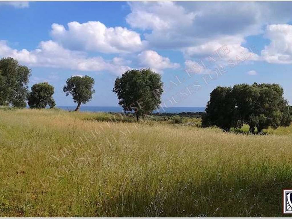 Terreno a Carovigno in Contrada Furchi - Foto 3