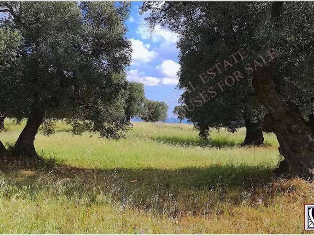 Terreno a Carovigno in Contrada Furchi - Foto 4