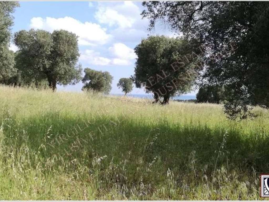 Terreno a Carovigno in Contrada Furchi - Foto 5