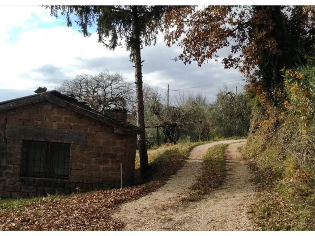 Rustico / casale a Amelia in Strada Provinciale 86 S.N.C. - Foto 2