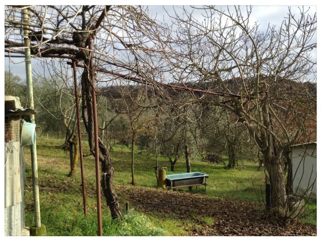 Rustico / casale a Amelia in Strada Provinciale 86 S.N.C. - Foto 5