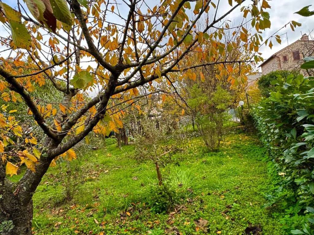 Villa a Amelia in Via Carlo Alberto, 38 - Foto 2