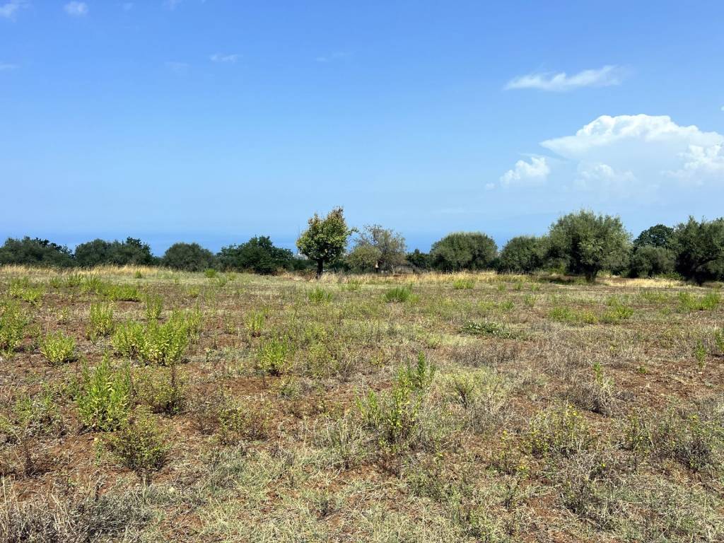 Terreno a Briatico in Via Giuseppe Garibaldi, 12 - Foto 3