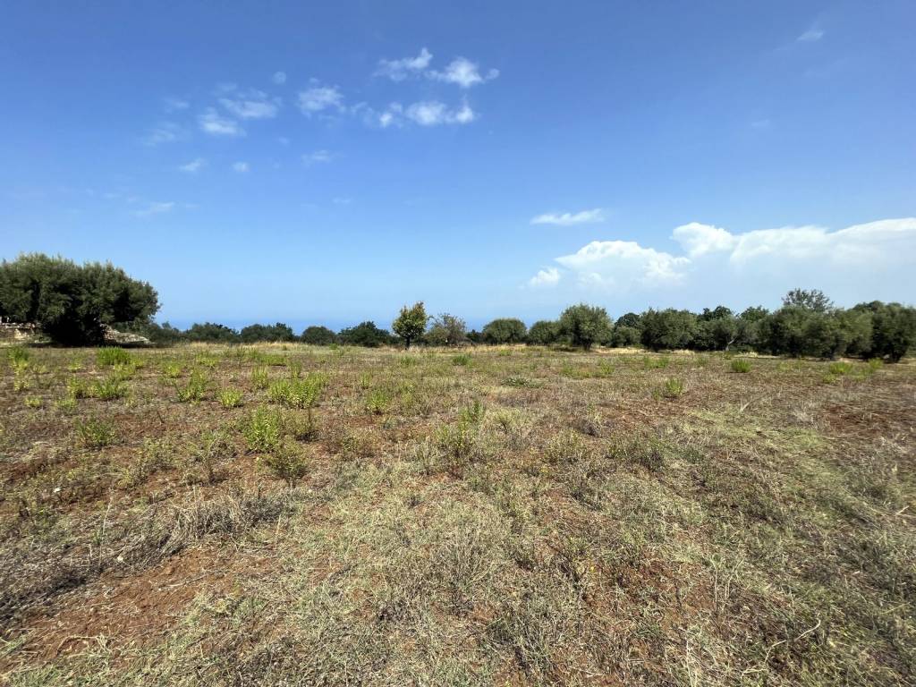 Terreno a Briatico in Via Giuseppe Garibaldi, 12 - Foto 4