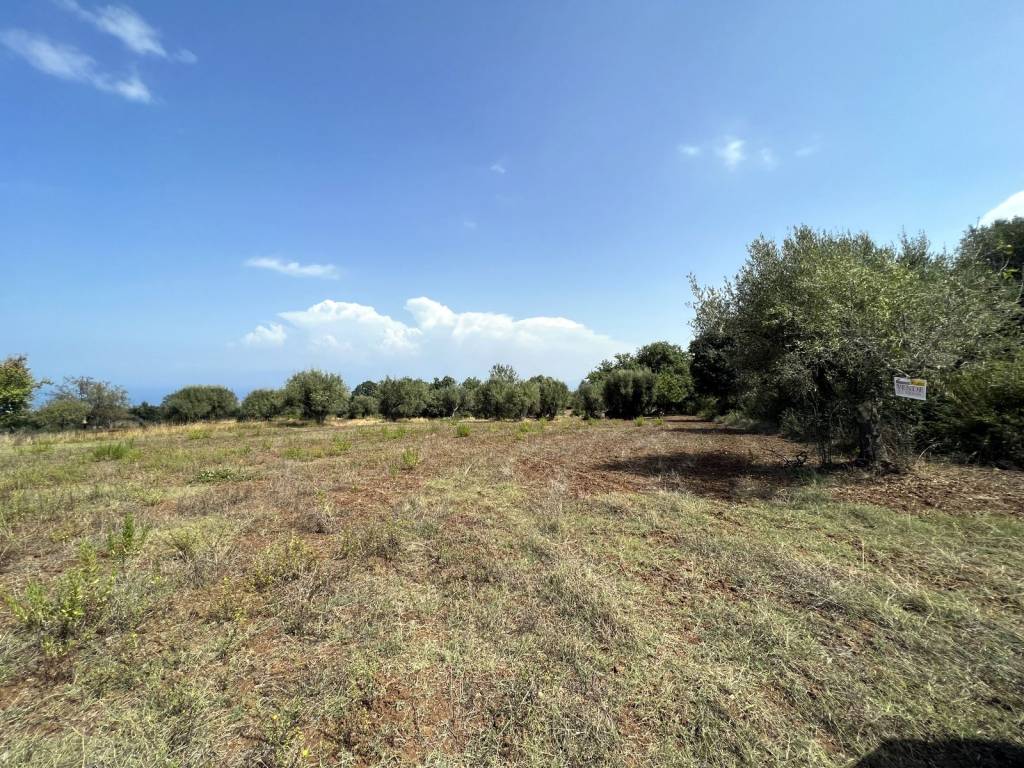 Terreno a Briatico in Via Giuseppe Garibaldi, 12 - Foto 5