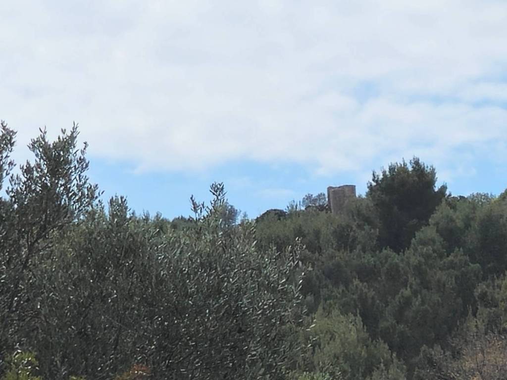Rustico / casale a Camerota in sentiero Degli Infreschi - Foto 2