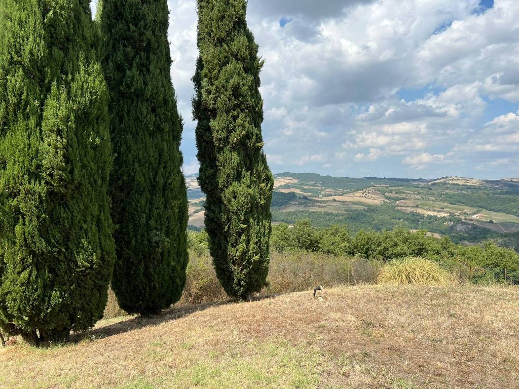 Rustico / casale a San casciano dei bagni in Strada Provinciale della Valle del Rigo - Foto 3