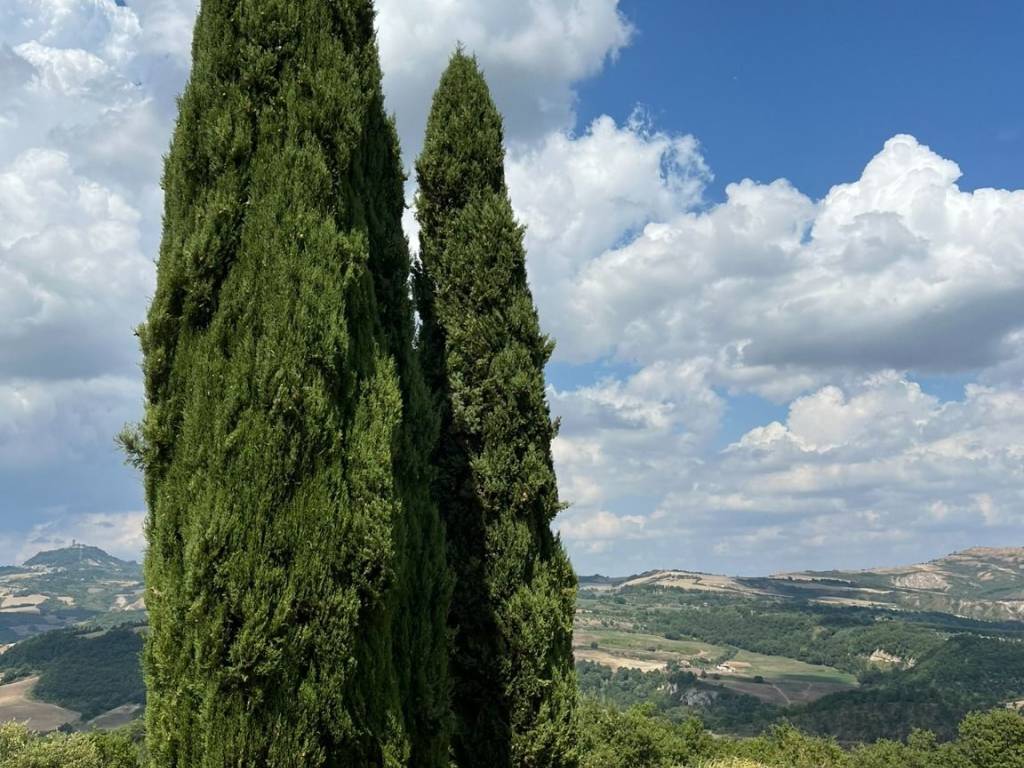 Rustico / casale a San casciano dei bagni in Strada Provinciale della Valle del Rigo - Foto 4